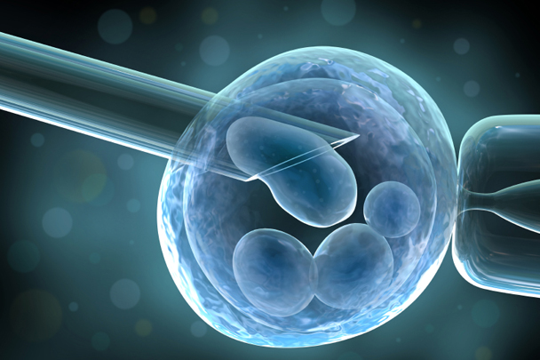 Lombikbébi - egyetlen embrió beültetése hatásosabb