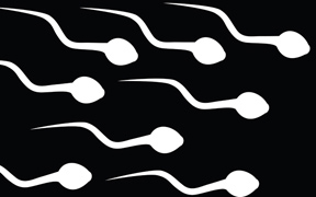 Gyakori kérdések a spermáról